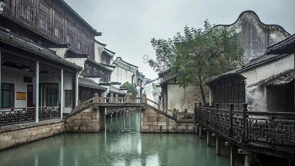 聚焦巫溪两会|带着“宝贝”上两会 三位村支书现场揭开致富“密码”